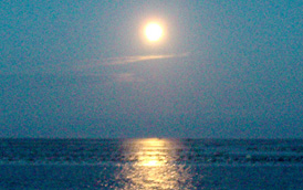 生活饮用水水质检测_消毒剂及消毒副产物检测